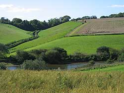 Agricultural run-off on steep slopes